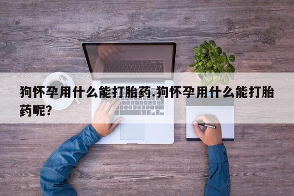 打胎药/流产药专卖微信狗怀孕用什么能打胎药.狗怀孕用什么能打胎药呢？