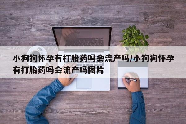 打胎药/流产药专卖微信小狗狗怀孕有打胎药吗会流产吗/小狗狗怀孕有打胎药吗会流产吗图片