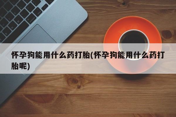 打胎药/流产药专卖微信怀孕狗能用什么药打胎(怀孕狗能用什么药打胎呢)