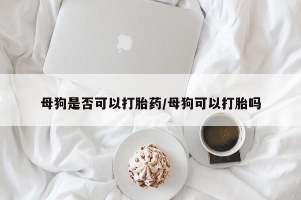 打胎药/流产药专卖微信母狗是否可以打胎药/母狗可以打胎吗